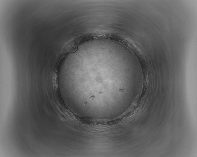 X0000112760964200908201435