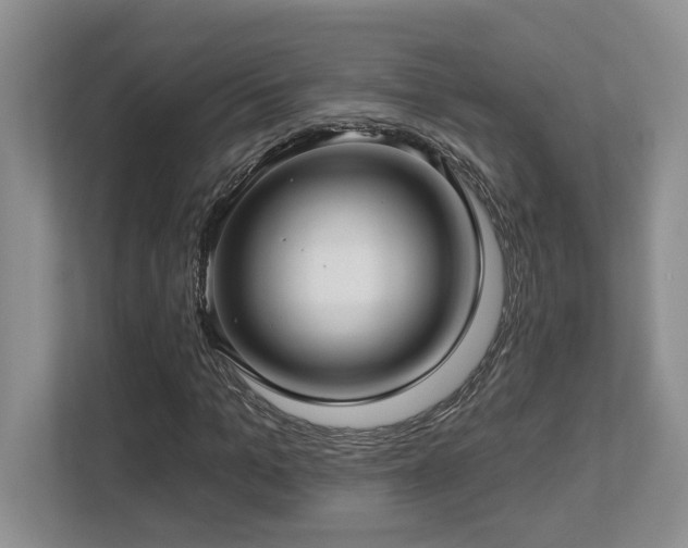 X0000112760965200908201435