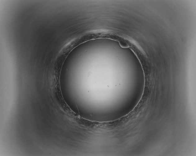 X0000112760967200908201435