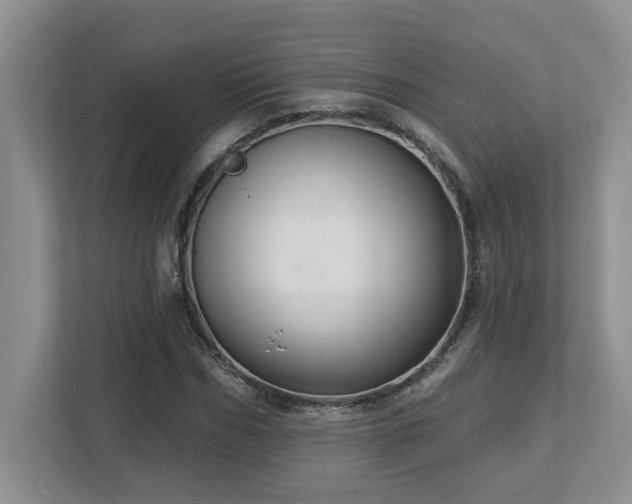 X0000112760970200908201434