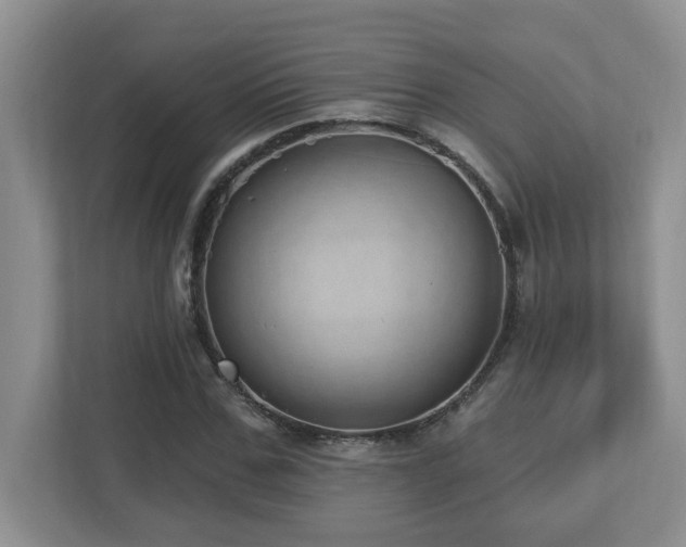 X0000112760971200908201434