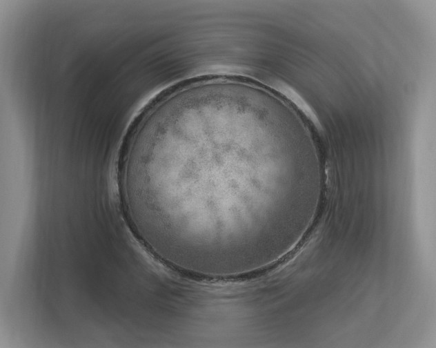 X0000112760972200908201434