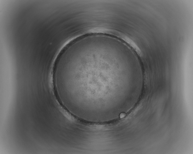 X0000112760976200908201434