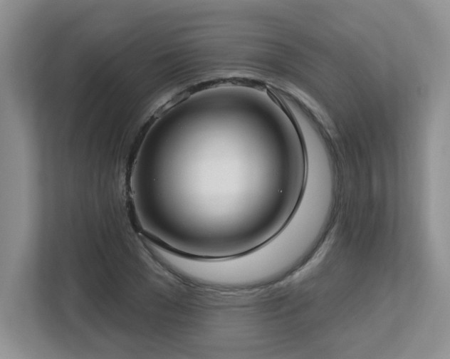 X0000112760977200908201434