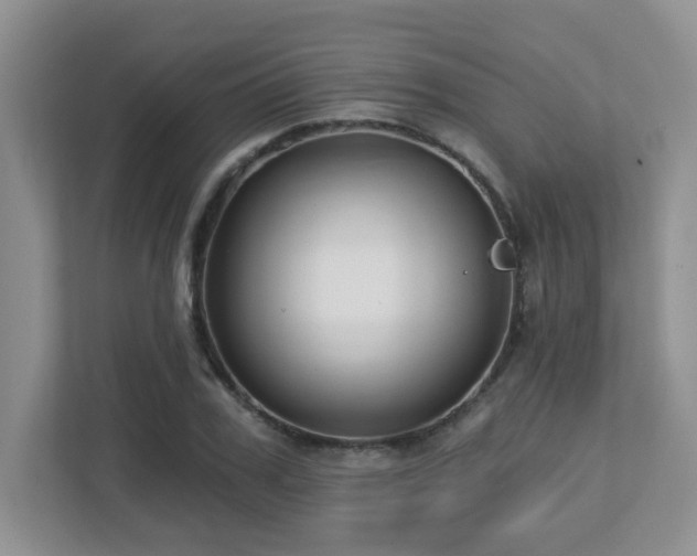 X0000112760979200908201434