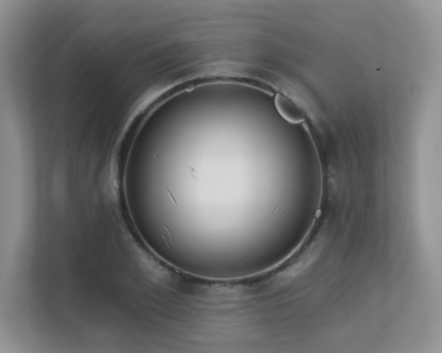 X0000112760981200908201434