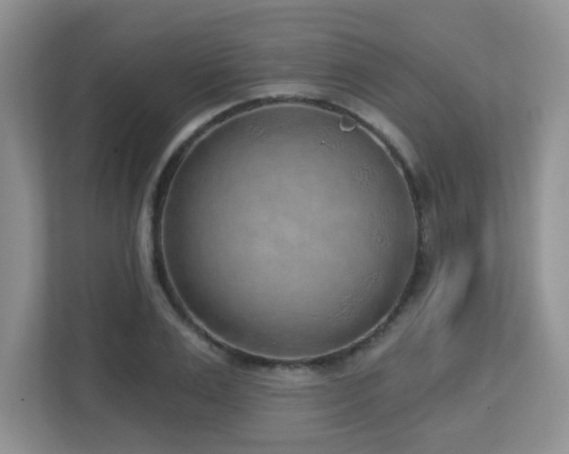 X0000112760983200908201434