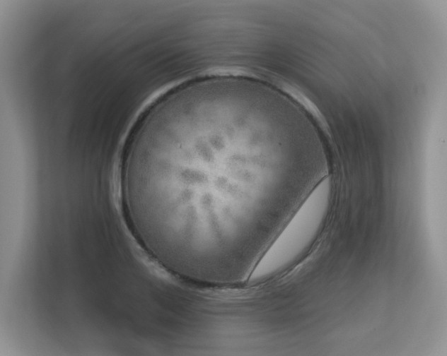 X0000112760984200908201434