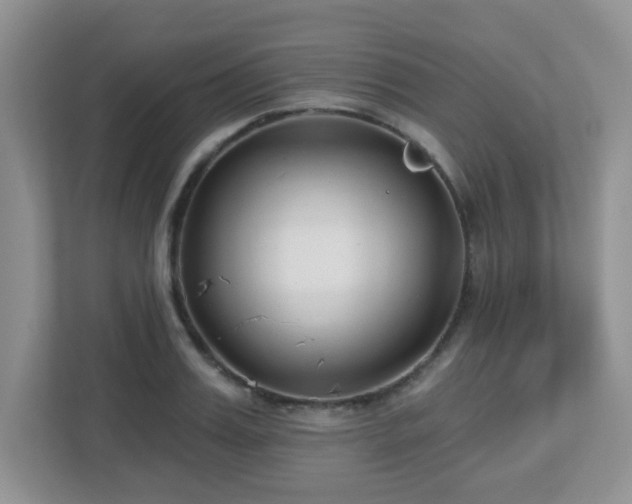 X0000112760987200908201434