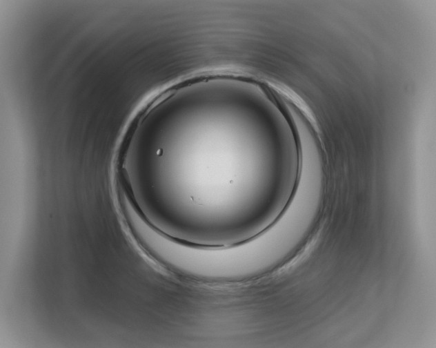 X0000112760989200908201434