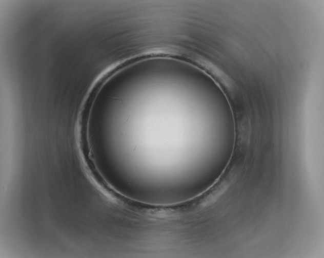 X0000112760991200908201434
