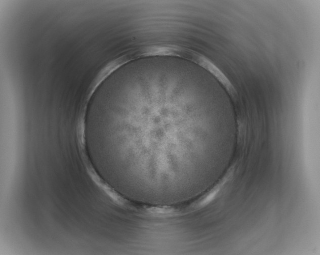 X0000112760994200908201434