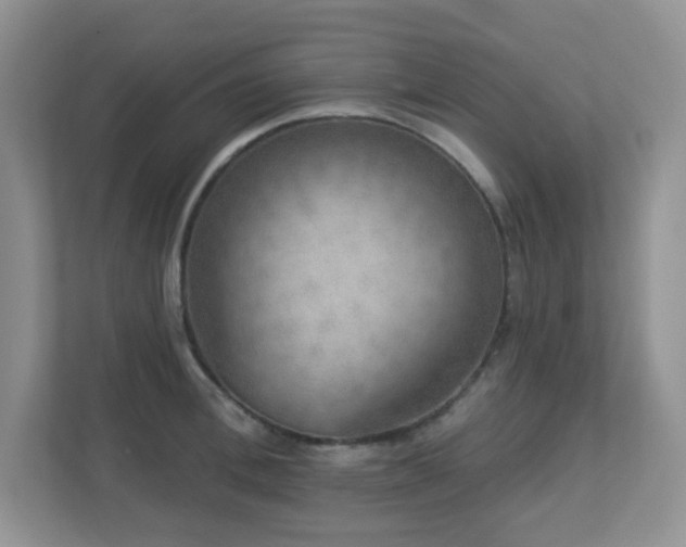 X0000112760996200908201434