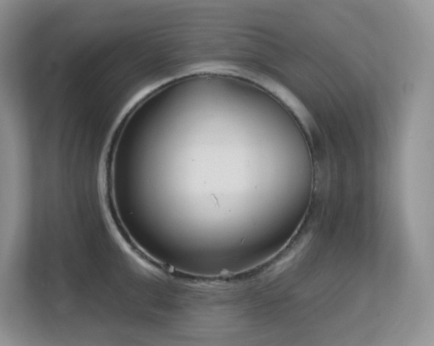 X0000112760999200908201434