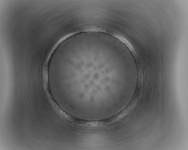 X0000112761000200908201434