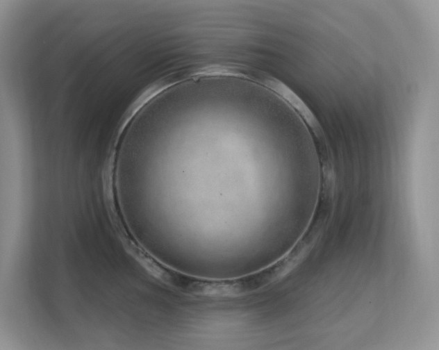 X0000112761002200908201434