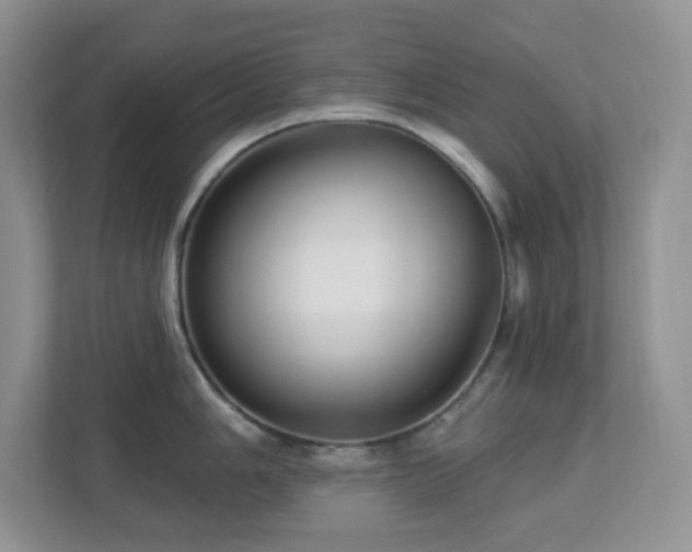 X0000112761006200908201434