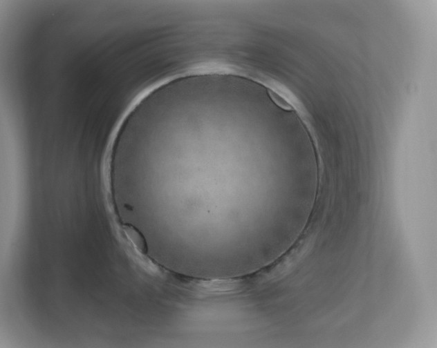 X0000112761008200908201434
