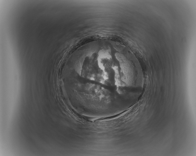 X0000112761009200908201433