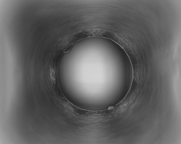 X0000112761010200908201433