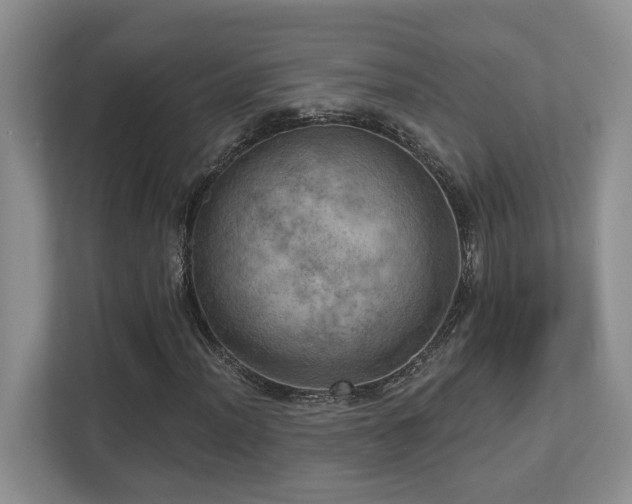 X0000112761012200908201433