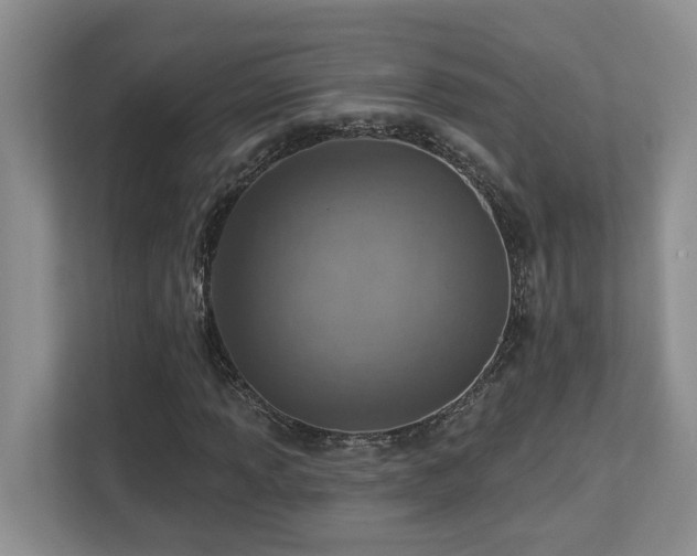 X0000112761013200908201433
