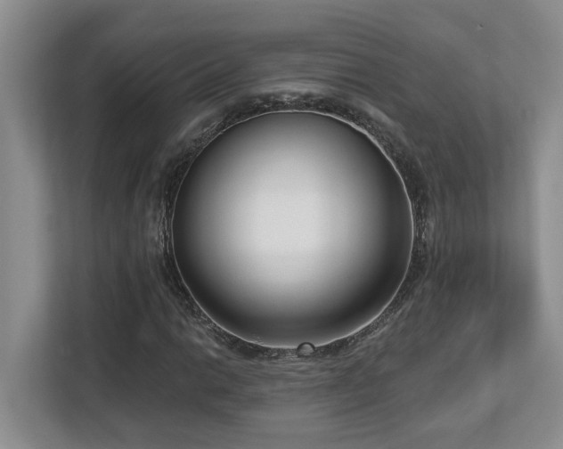 X0000112761014200908201433