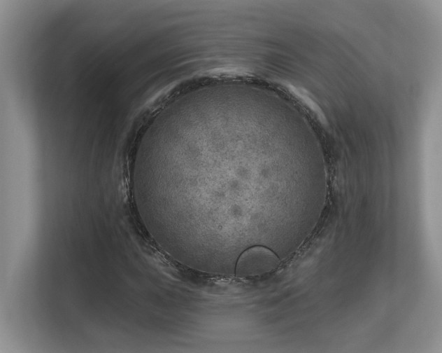 X0000112761015200908201433