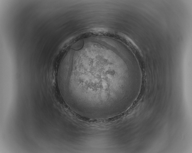 X0000112761016200908201433