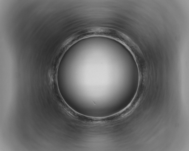 X0000112761017200908201433