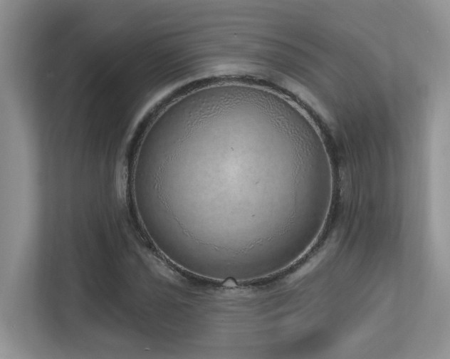 X0000112761021200908201434