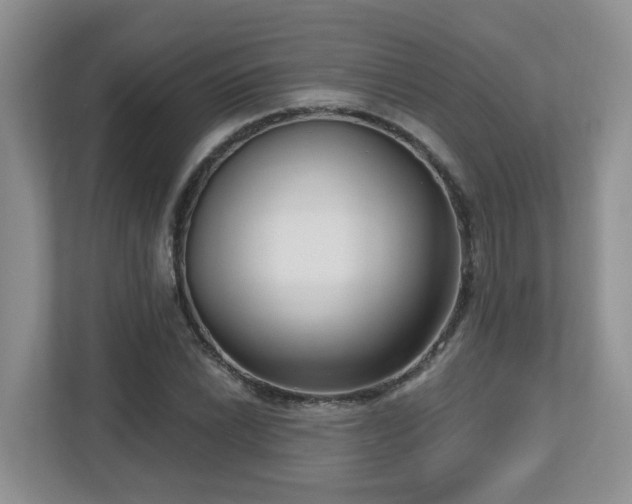 X0000112761022200908201434