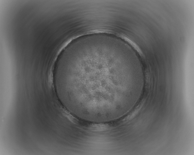 X0000112761023200908201434