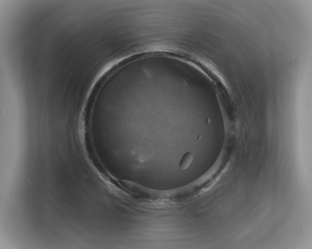 X0000112761024200908201434