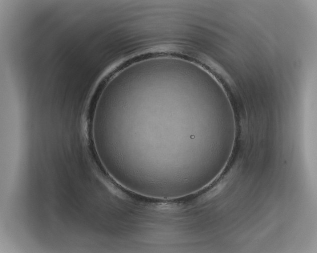 X0000112761029200908201434