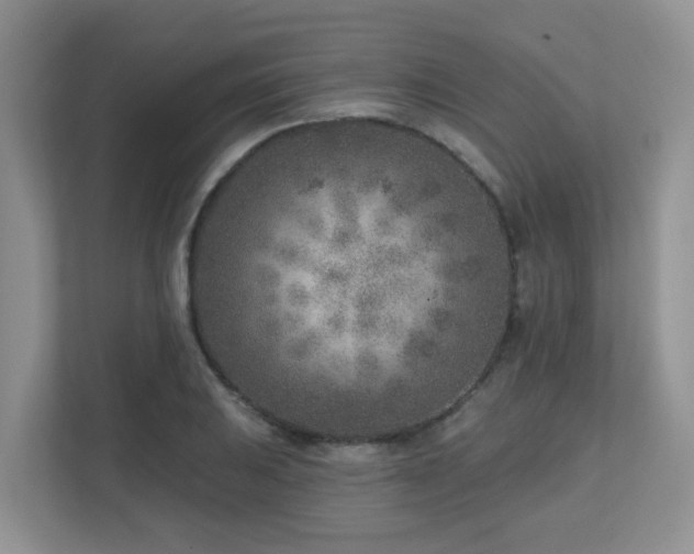 X0000112761031200908201434