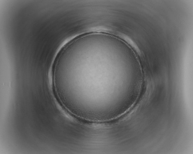 X0000112761032200908201434