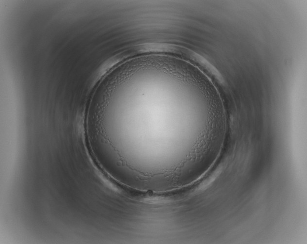 X0000112761033200908201434