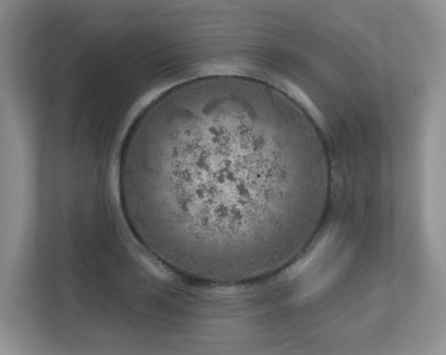X0000112761035200908201434
