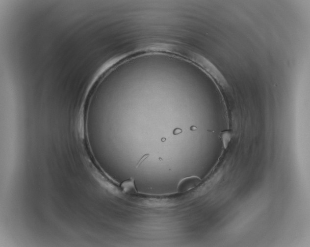 X0000112761036200908201434