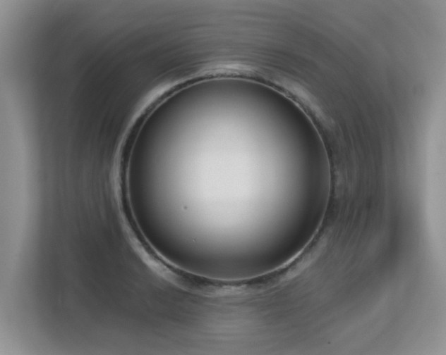 X0000112761038200908201434