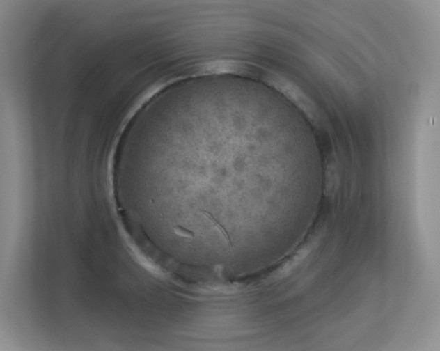 X0000112761039200908201434