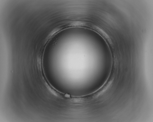 X0000112761041200908201434