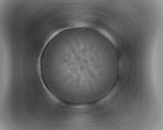 X0000112761047200908201434