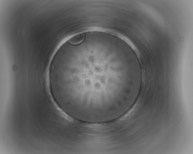 X0000112761048200908201434
