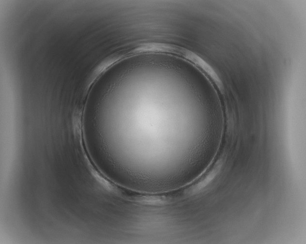 X0000112761049200908201434