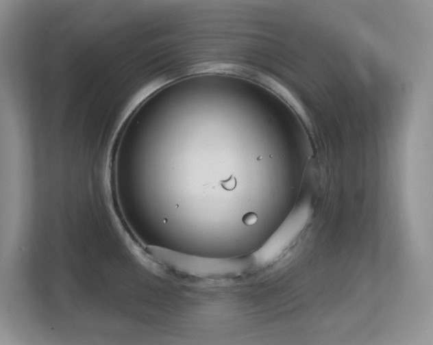 X0000112761050200908201434