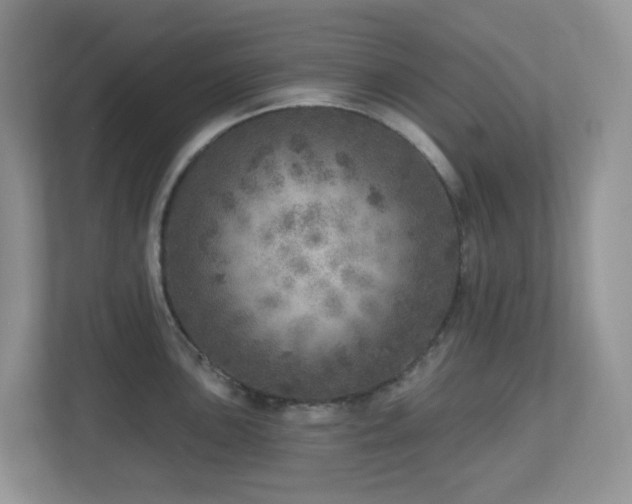 X0000112761051200908201434