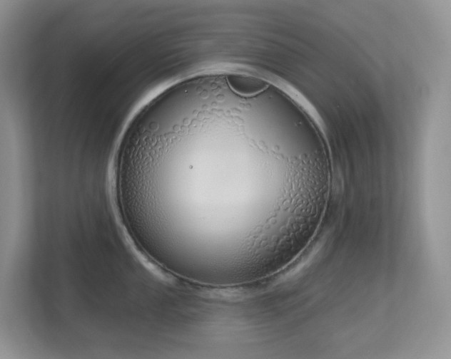 X0000112761053200908201434