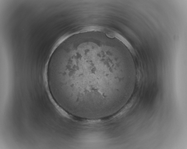 X0000112761055200908201434